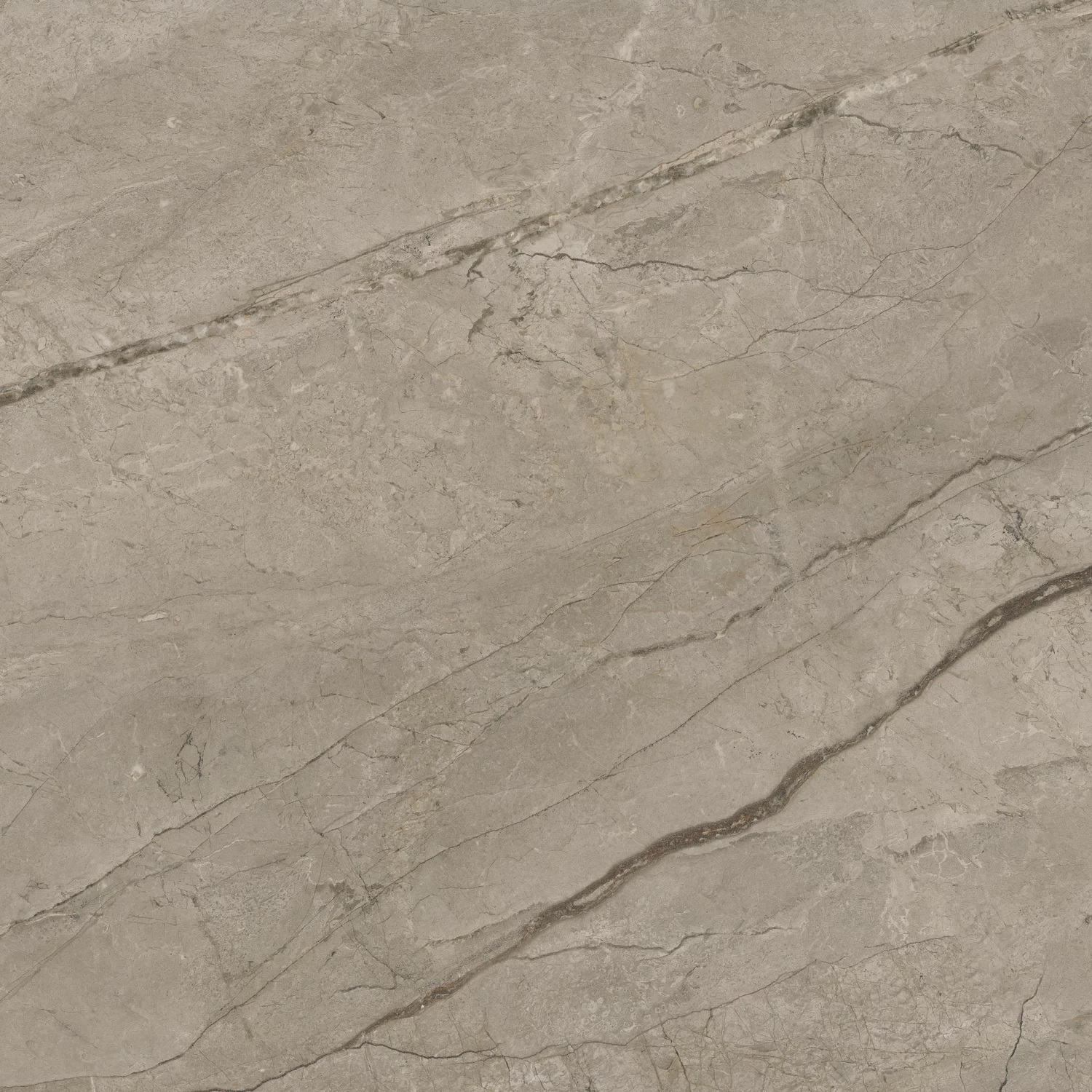 610010002719 Forte dei Marmi Mystic Grey Rett 80x80 Atlas Concorde Russia