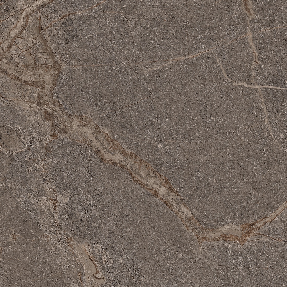 Mia Dark Sugar Carving 60x60 Realistik фото 12