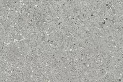 Образец 20х30 см керамогранита Duna - Ceppo Gris сarving - 1200x600 мм Duna фото 2