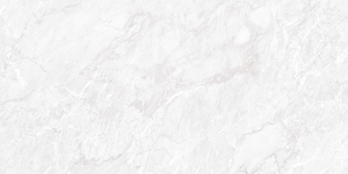 N20481 Carrara Pearl Polished 60x120 Neodom