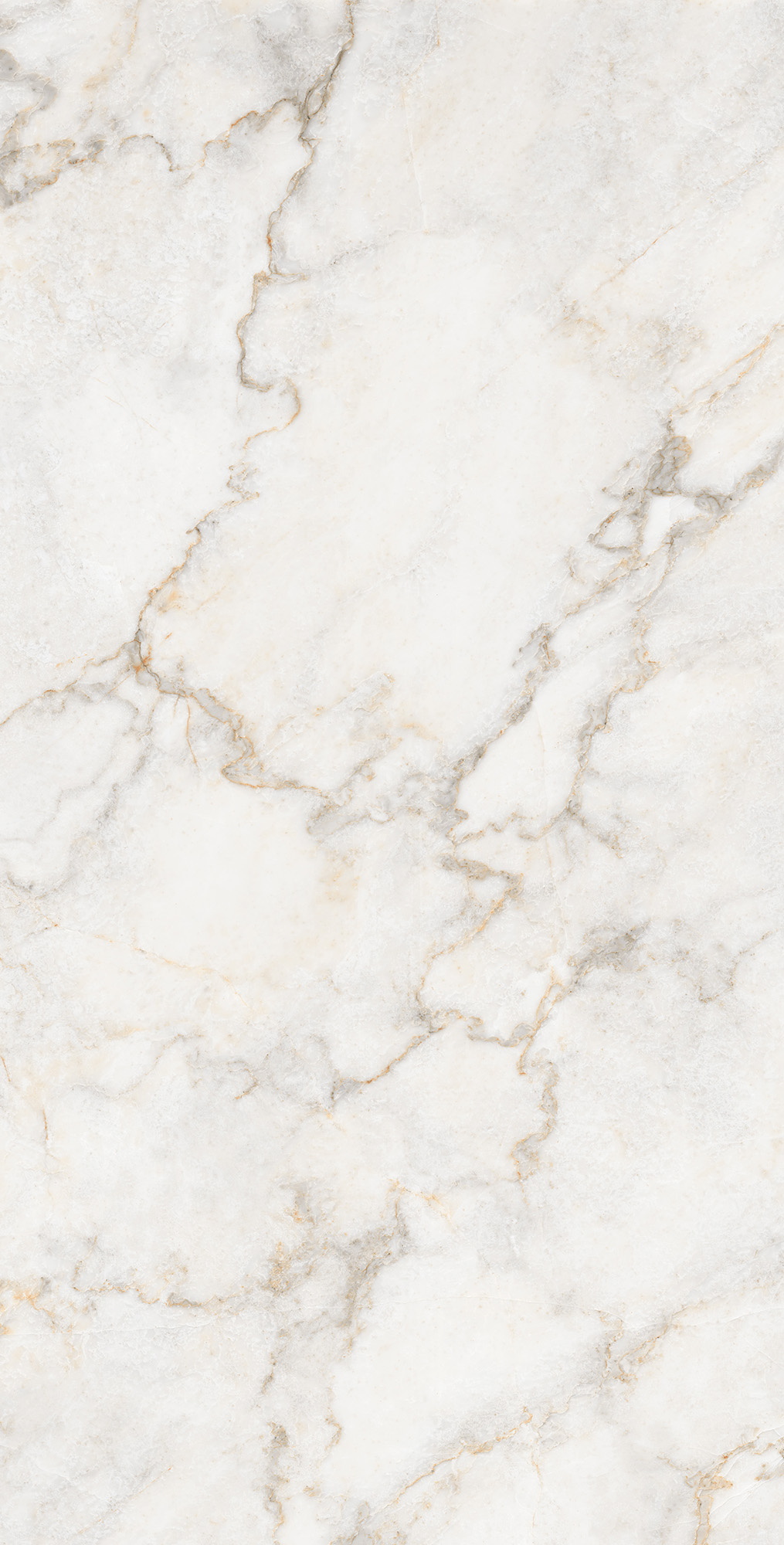 CP4002-A Pratonix Beige Carving Pro 60x120 Arcadia Ceramica
