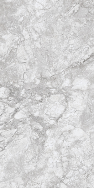 230167 Polar Grey Polished 60x120 Concor