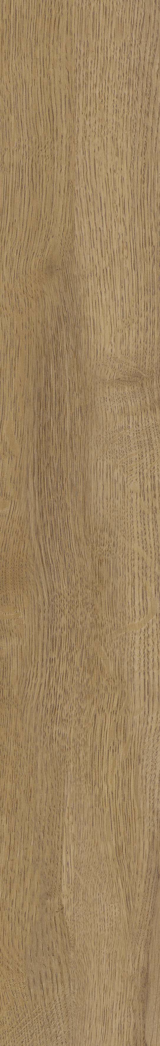 SGR51 Velaris Honey 9.2x60 Stargres фото 2