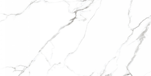 CV20222 Mckinley Glossy 60x120 Neodom