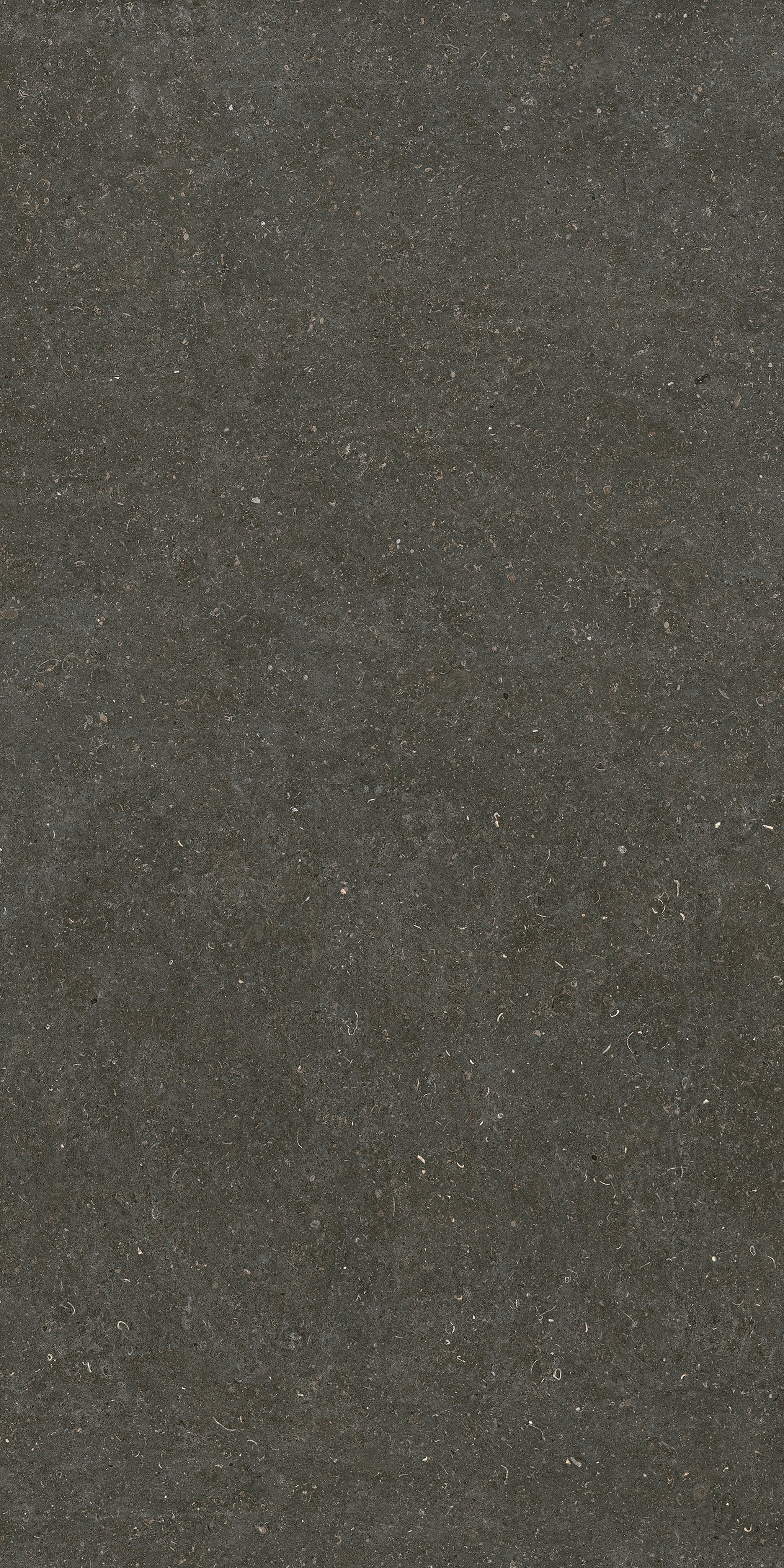 785585 Rinascenza Arena Platino Matte 6mm 120x240 Casa Dolce Casa фото 3