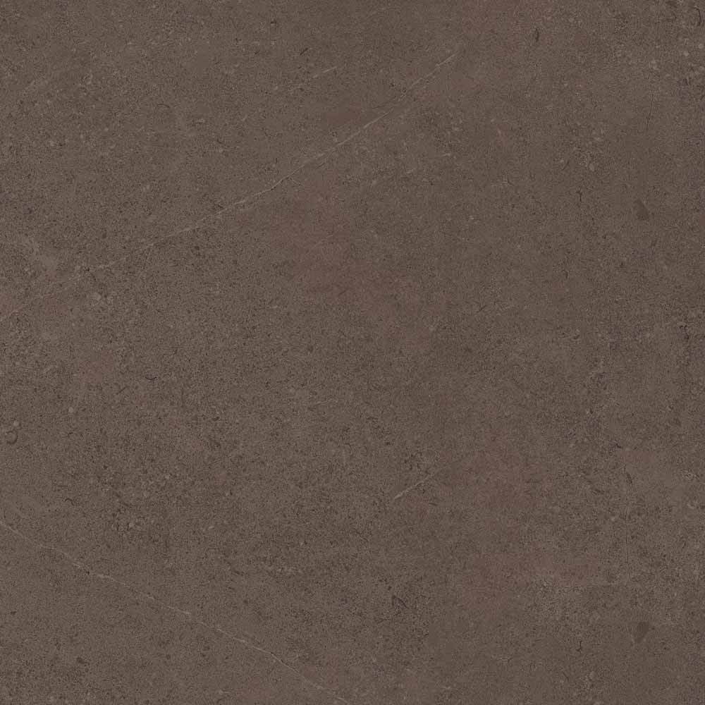 GO03 Gobi Brown Grey Неполированный Рект. 60x60x9 Estima фото 3