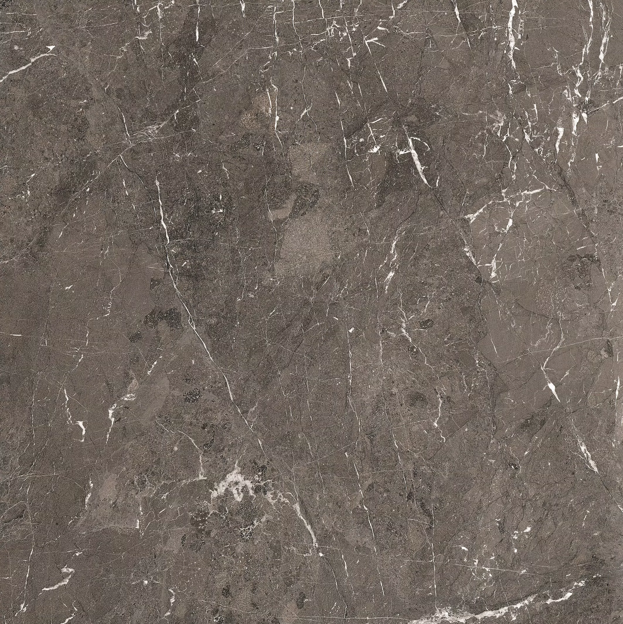 774833 Heritage Brown Comfort 6mm 120x120 Rex Ceramiche фото 3