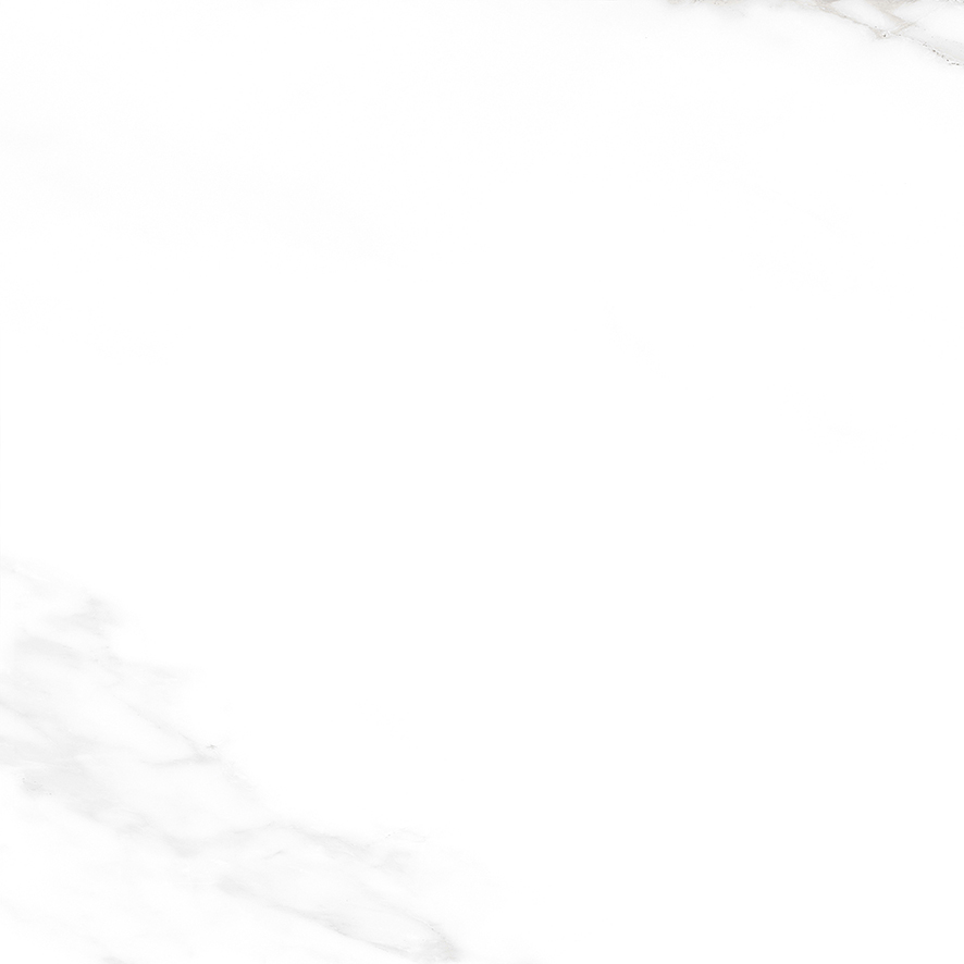 Carrara Excellent Silver Белый Матовый 60х60 Ceradim