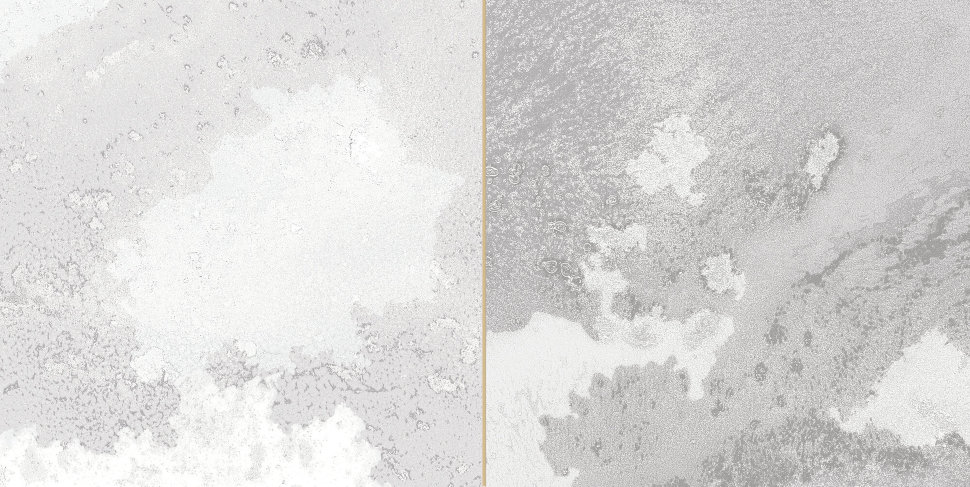 30962 FS Tradition Square Silver 20x40 Peronda фото 3