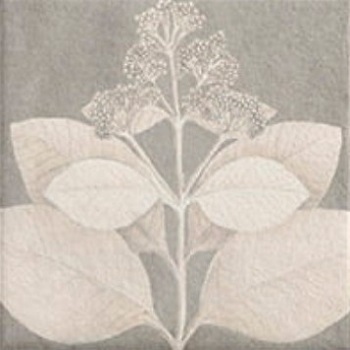 Soft Kamelia Grey 15x15 Mainzu