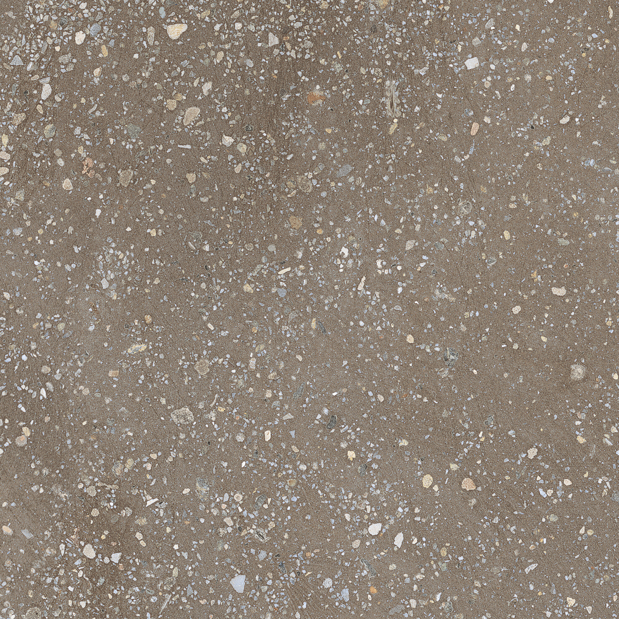 42776 Cosmos Chocolate SP/22,3 22,3x22,3 Harmony