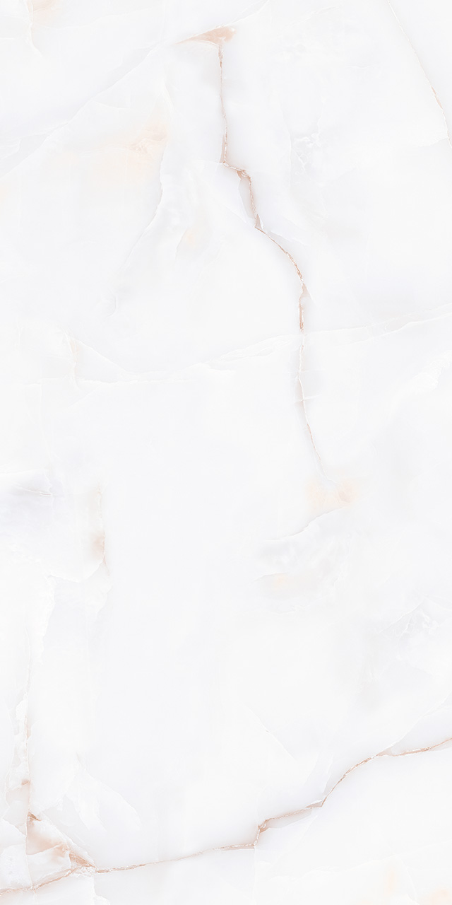 ZA-D12607 Glazed PR 1200x600x9 Vizavi