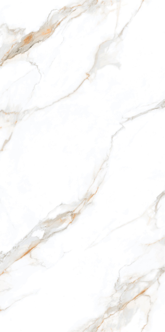 NTT3002P Calacatta Gold 120x240 NT Ceramic
