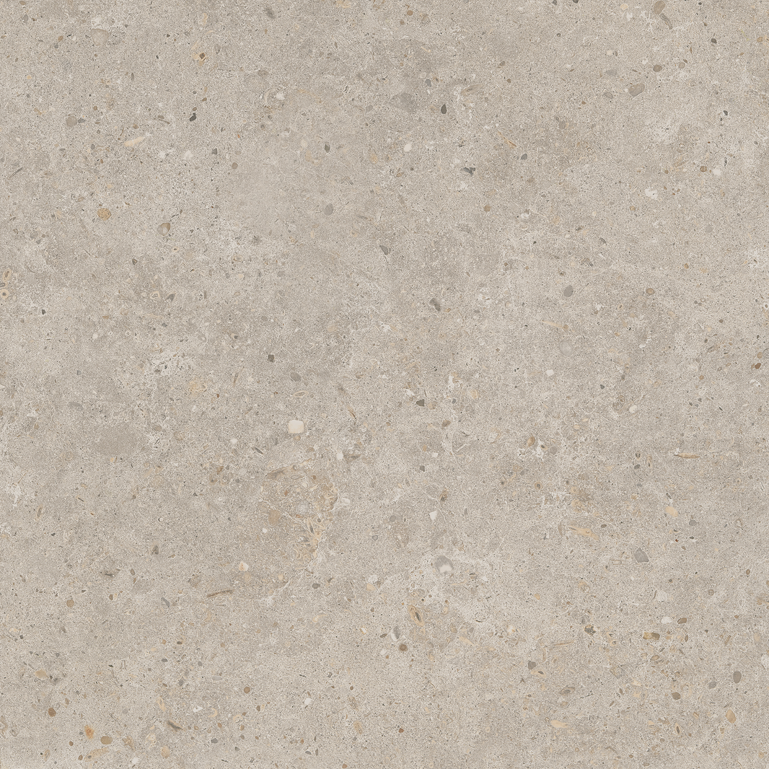 SG653820R Риккарди бежевый матовый обрезной 60x60 Kerama Marazzi фото 6