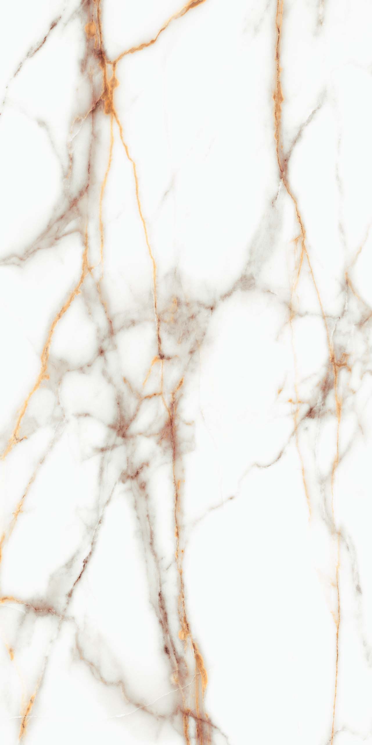 SM03 Supreme Ferrum Неполированный Рект. 80x160x10 Ametis by Estima фото 4