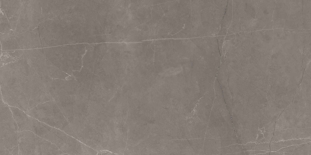 Stone Micado Grey Серый Полированный 60х120 Ceradim