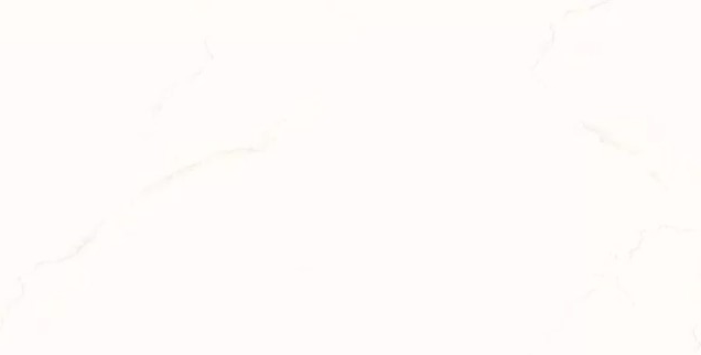 Onyx White 60x120 Ocean-Ceramic