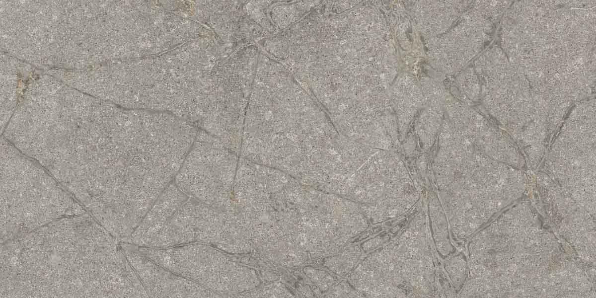 PF60011858 Supreme Memories Grey Soapstone Ant Ret 60x120 Flaviker