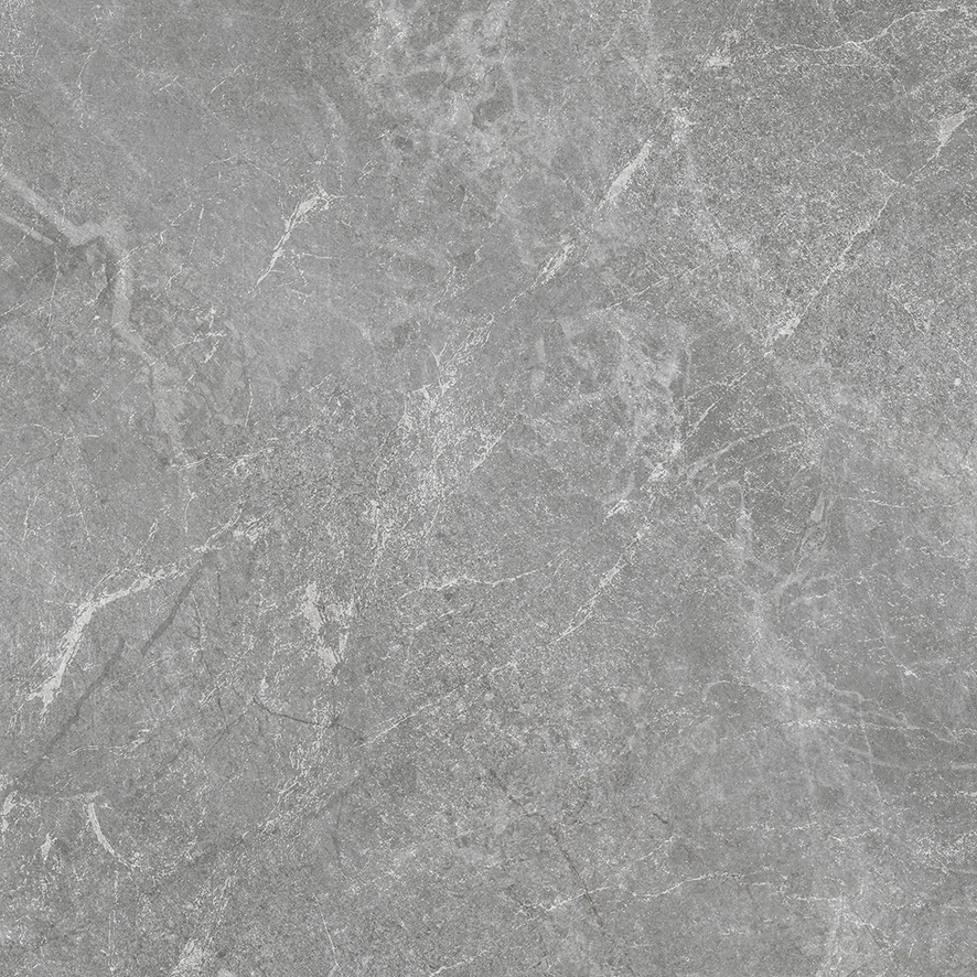 Rocky Grey PRO серый матовый R10GR 60х60 Laparet