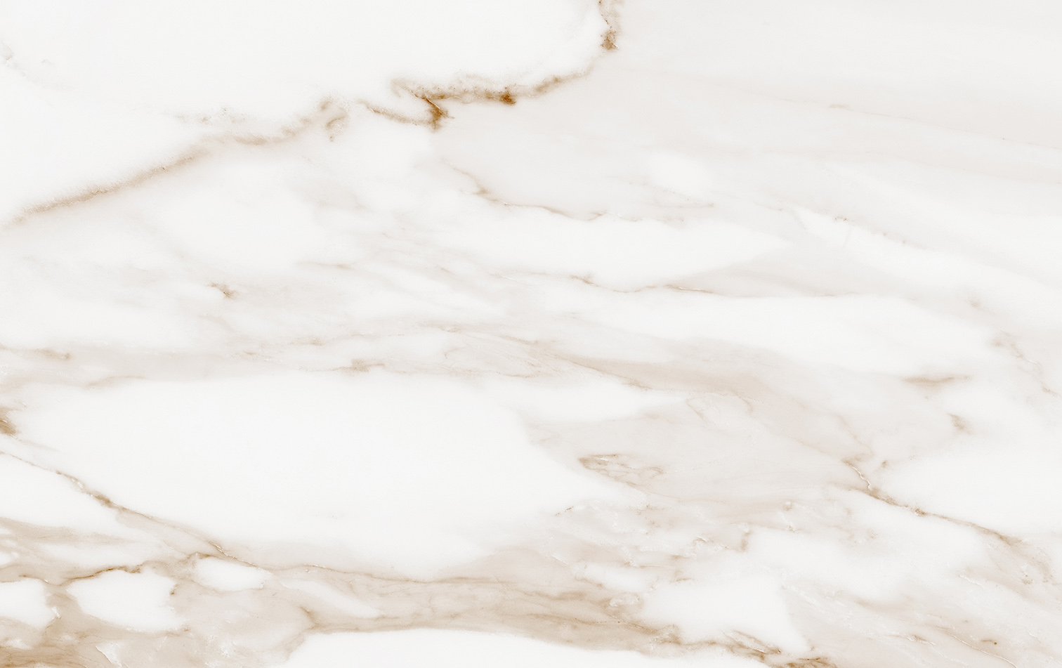 010100001554 Капелла белый верх 01 25x40 Gracia Ceramica