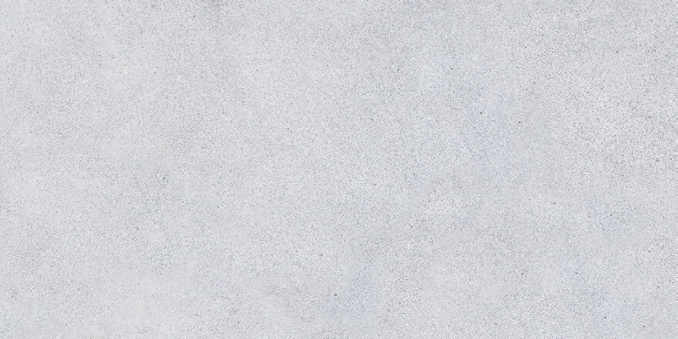 NR207 Maderas Light Grey 60x120 PrimaVera