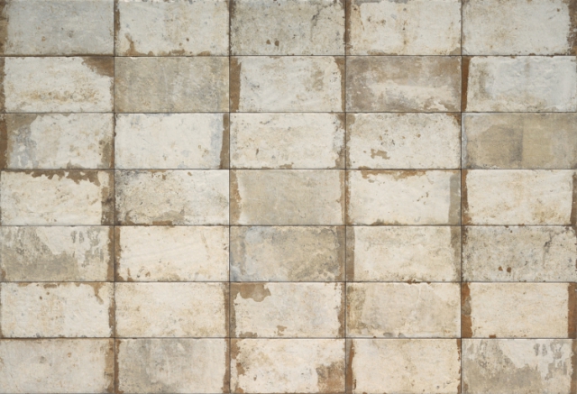 1053376 Havana Sugar Cane 20х40 CIR