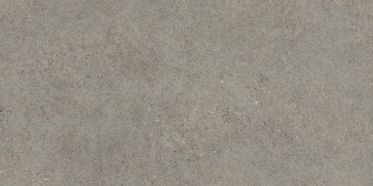 610010005821 Forte dei Marmi Rock Lunar Grey Matt Rett 60x120 Atlas Concorde Russia