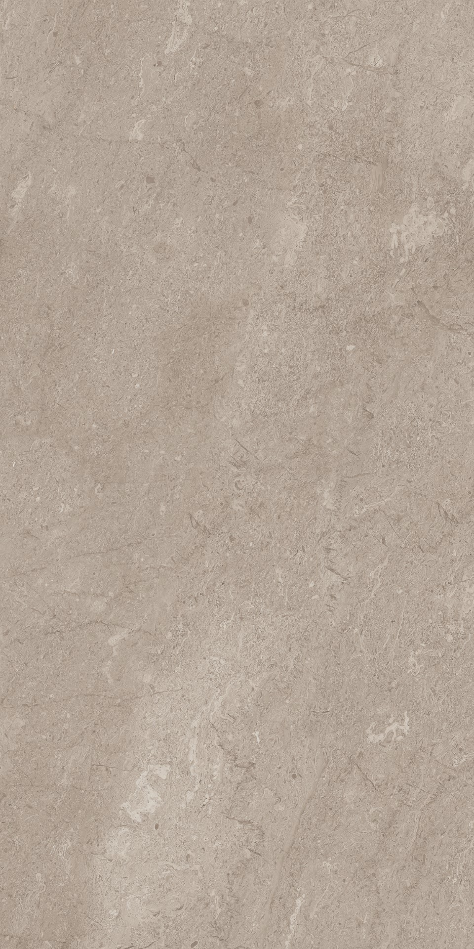 AEM02 Элемента Серый Неполированный Рект 60x120x9 Ametis by Estima фото 7