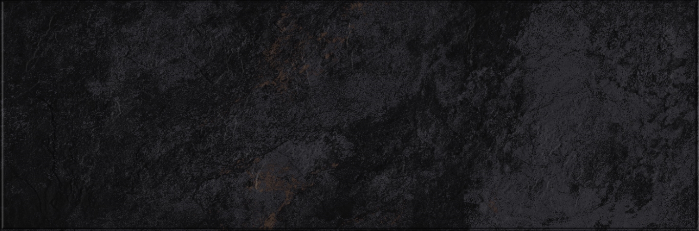 618 Image Dark 32,5х100 Eurotile Ceramica