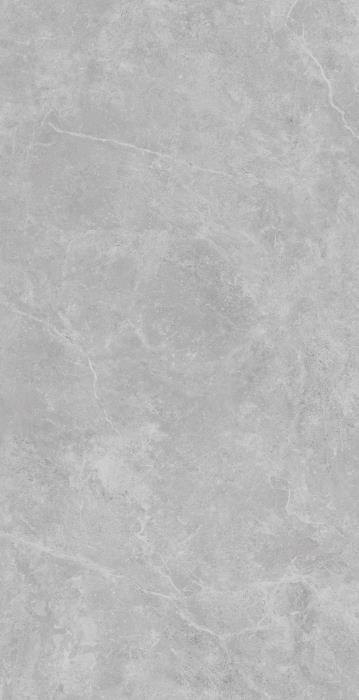 TP612M017 Петрано светло-серый матовый 60x120 PrimaVera фото 5