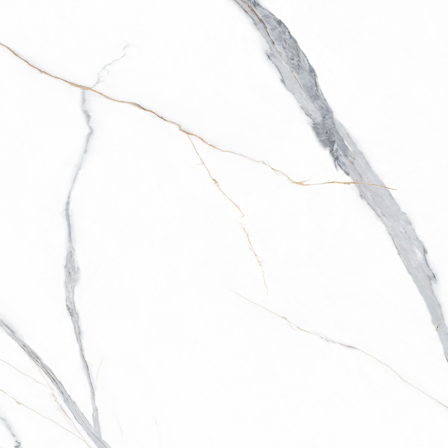 Statuario Gold PGVT 60x60 Casati Ceramica
