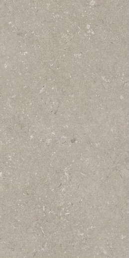 005468 Shellstone Taupe 60x120 Dado Ceramica