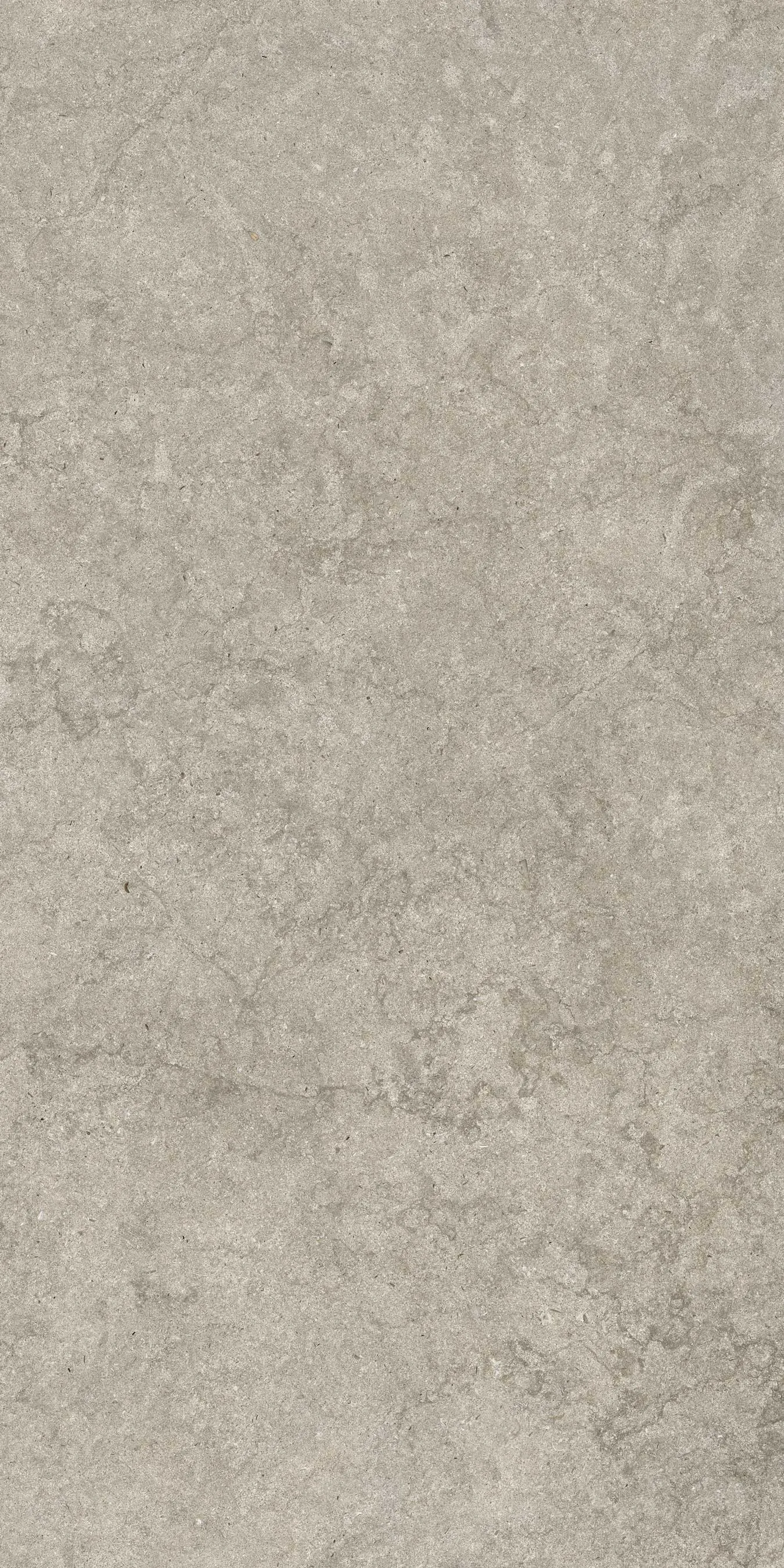 610010003142 Саленто Грэй Рет 60x120 ColiseumGres фото 5