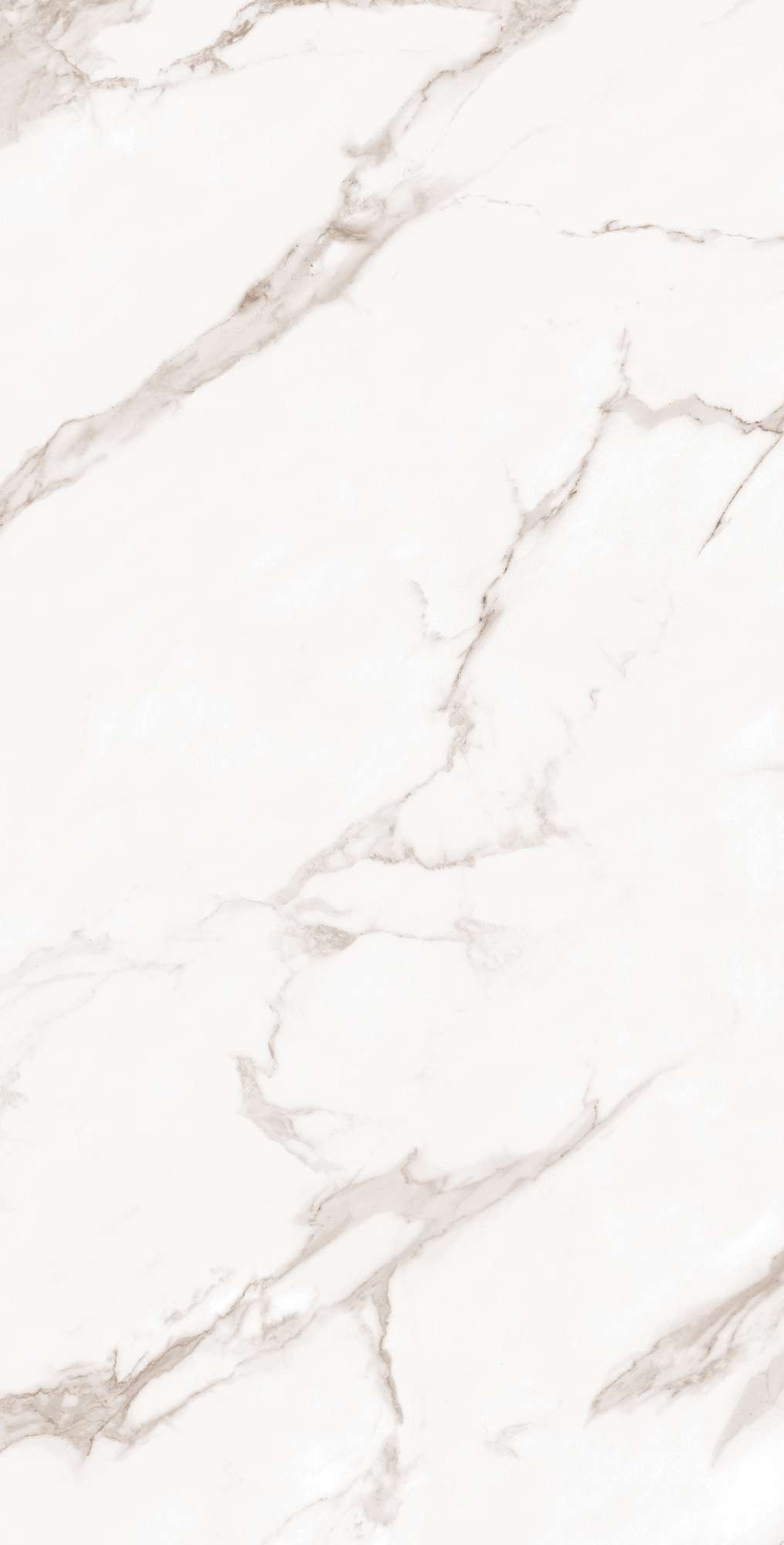 FP1019-A Calacatta Bianco Full Polished 60x120 Arcadia Ceramica
