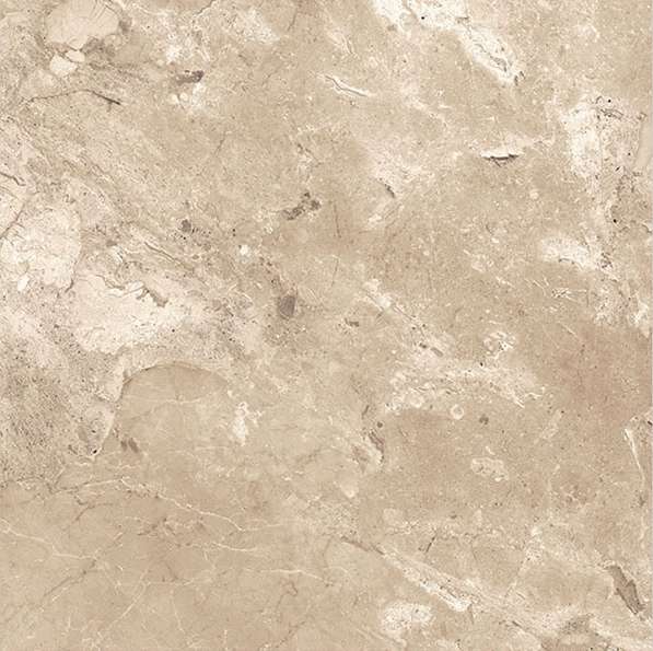 Castano Honey 60x60 Colortile