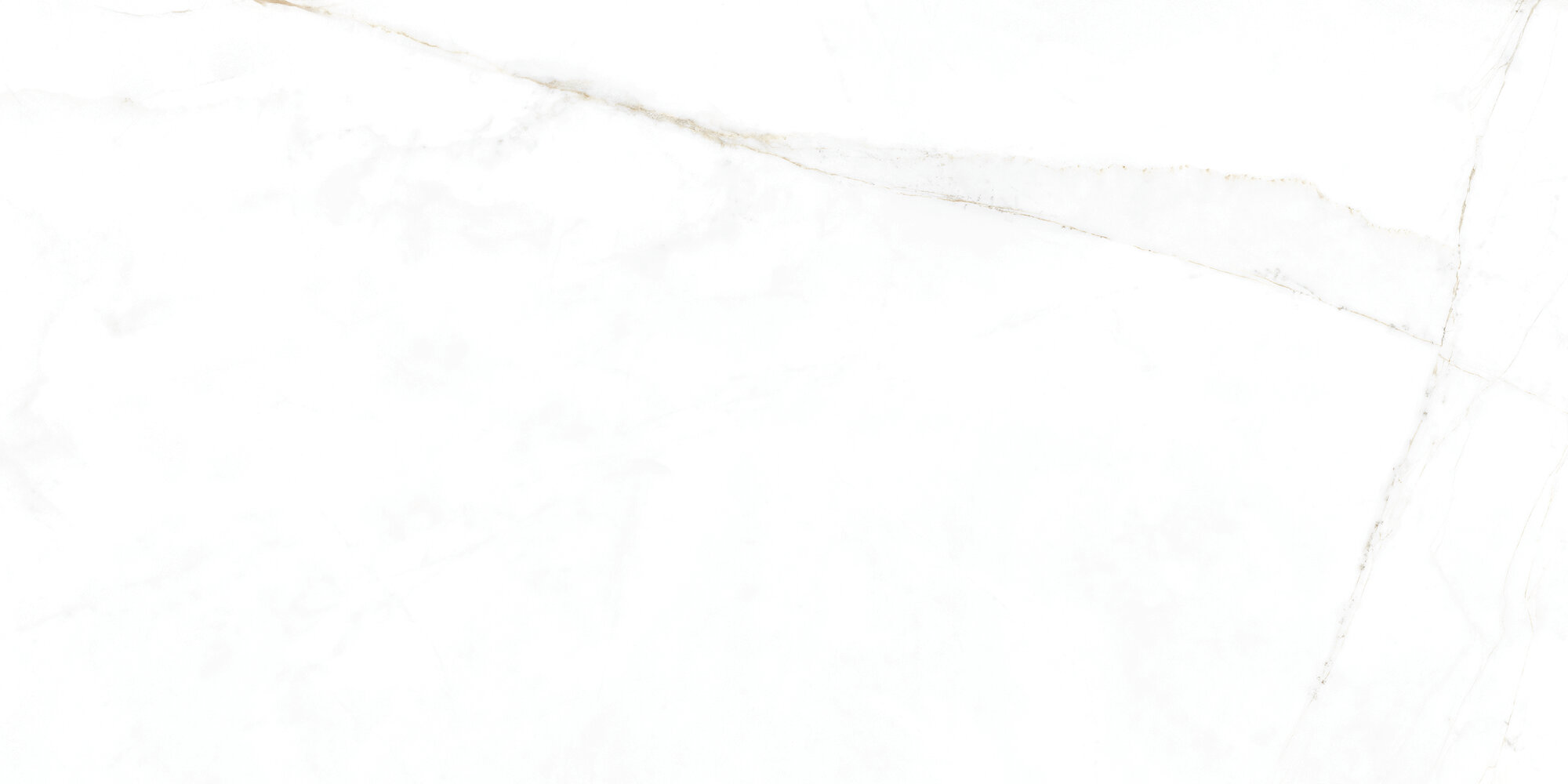 31741 Dual White EP 60x120 Peronda фото 19