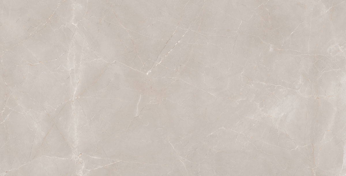 Natural Armani Light Grey Polish 60x120 Granoland