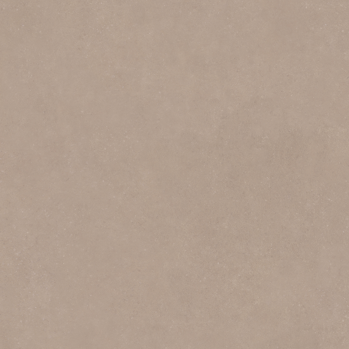 4101182 Nok Taupe 120x120 41ZERO42