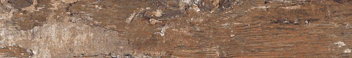 Kiwi Redroot Mat 20x120 Alpas Euro