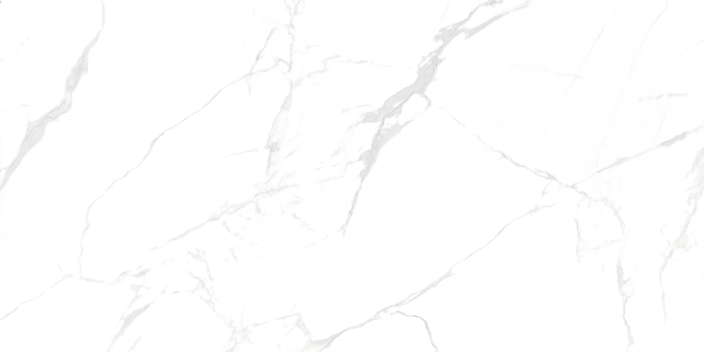 NTT99607M Callacata carving 60x120 NT Ceramic