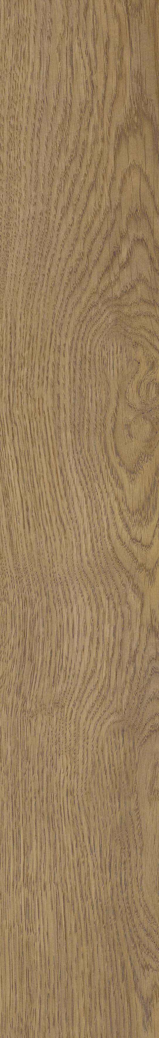 SGR51 Velaris Honey 9.2x60 Stargres фото 5