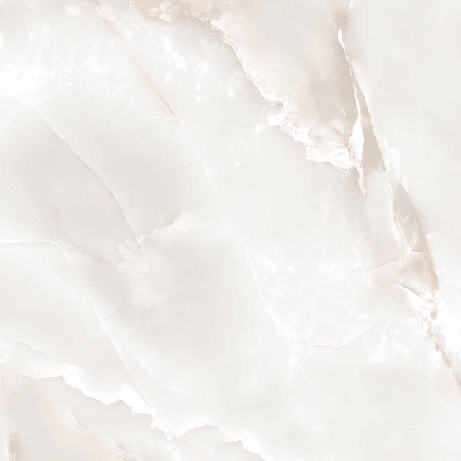 RT6005-A Primo Onyx Grey Matt Rustic 60x60 Arcadia Ceramica фото 2