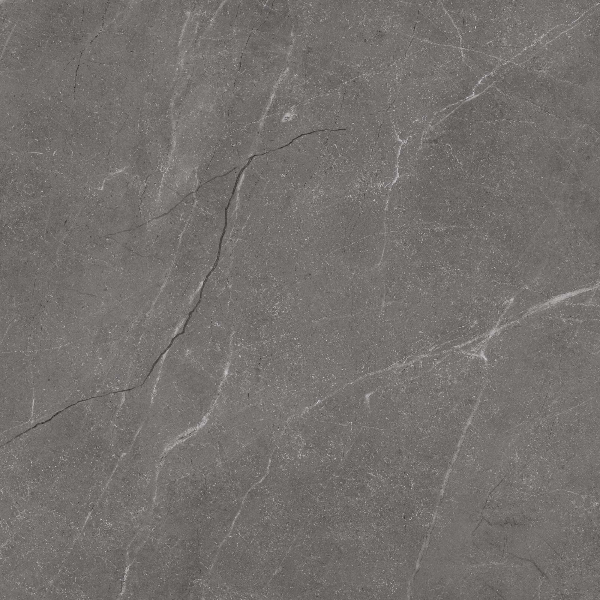 Vibrant Grey Carving 60x60 BELLEZA фото 4