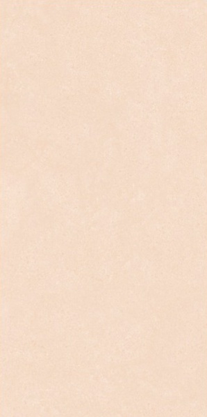 Selina Crema matt 60x120 Leopard фото 5