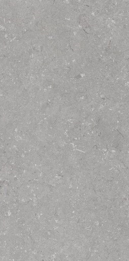 005485 Shellstone Grigio 60x120 Dado Ceramica