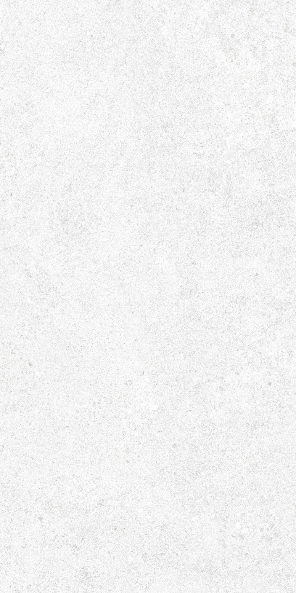 36905 Cluny White 4D/50X100X2/A/R 50x100 Peronda фото 4