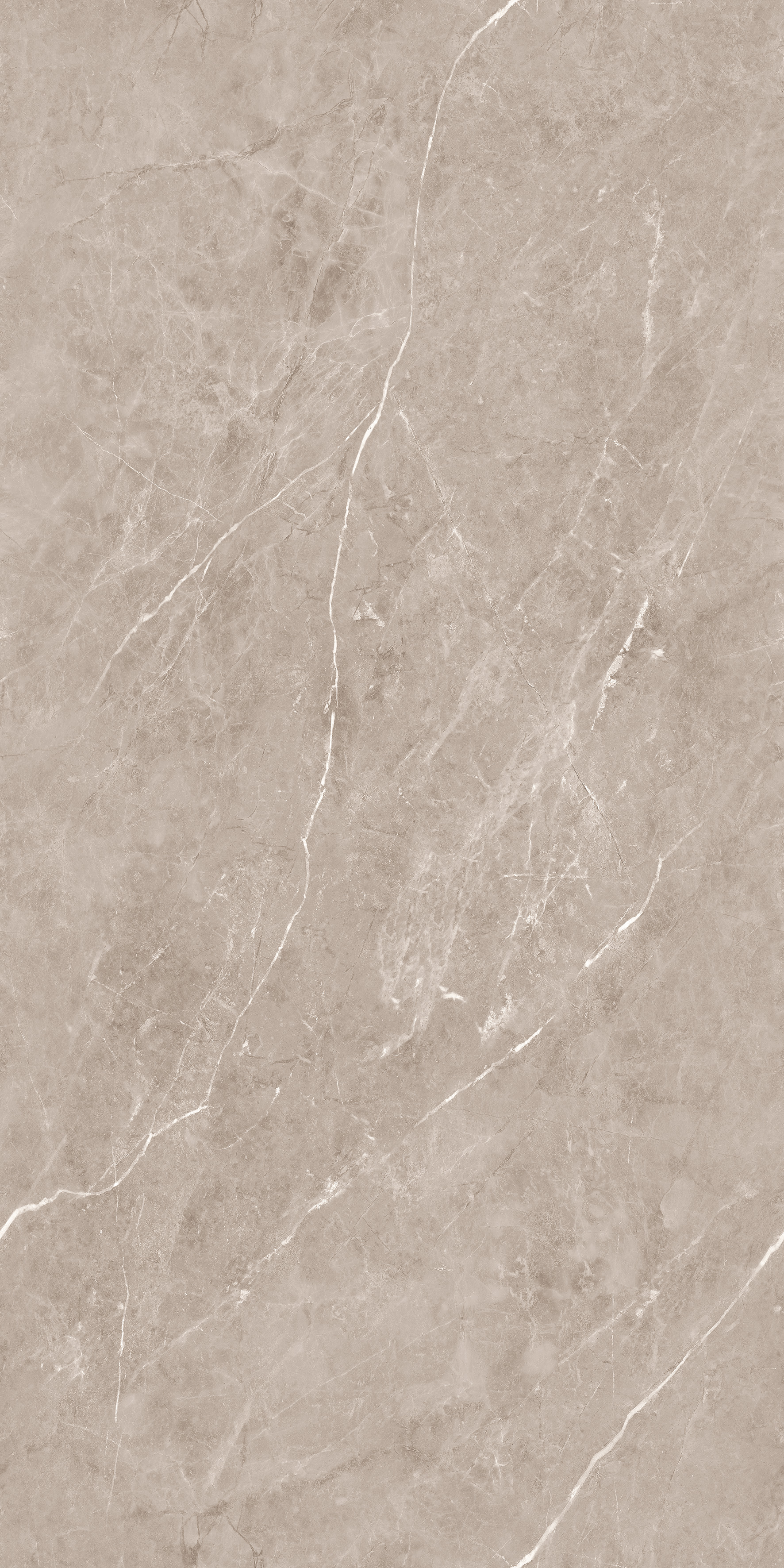 Flurry Taupe Carving 60x120 Duna фото 5
