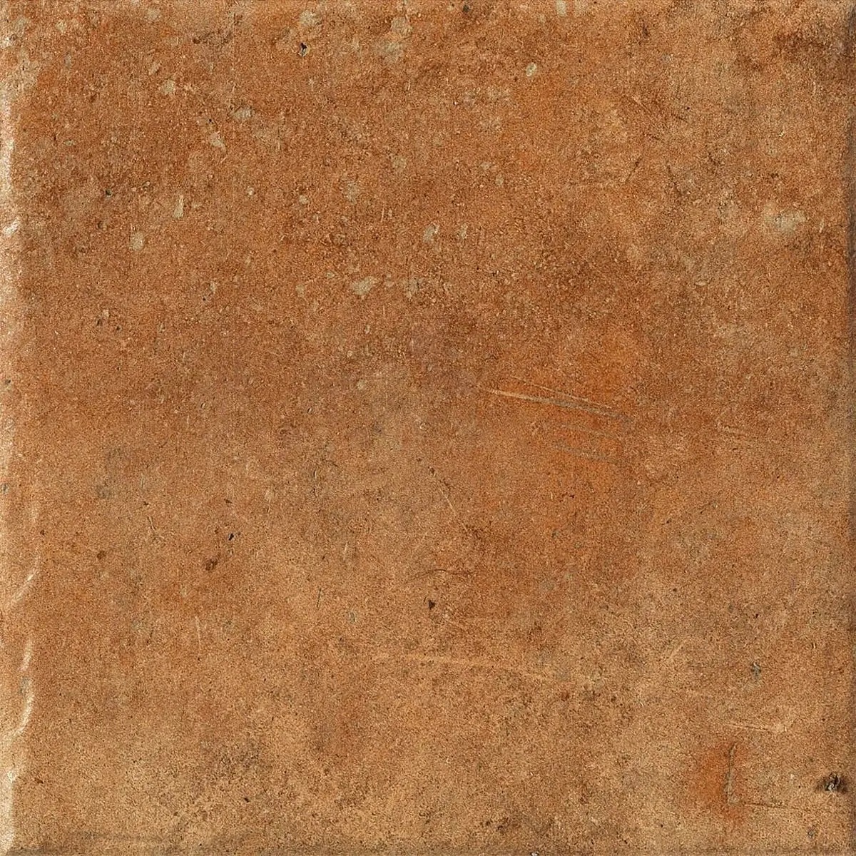 1080481 Cotto Del Campiano Cotto Dorato 20x20 CIR