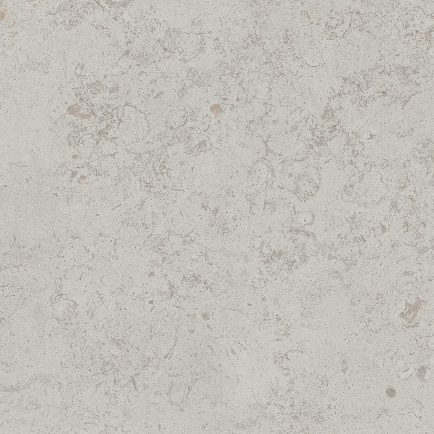 DD641020R Про Лаймстоун серый светлый натуральный обрезной 60х60 Kerama Marazzi
