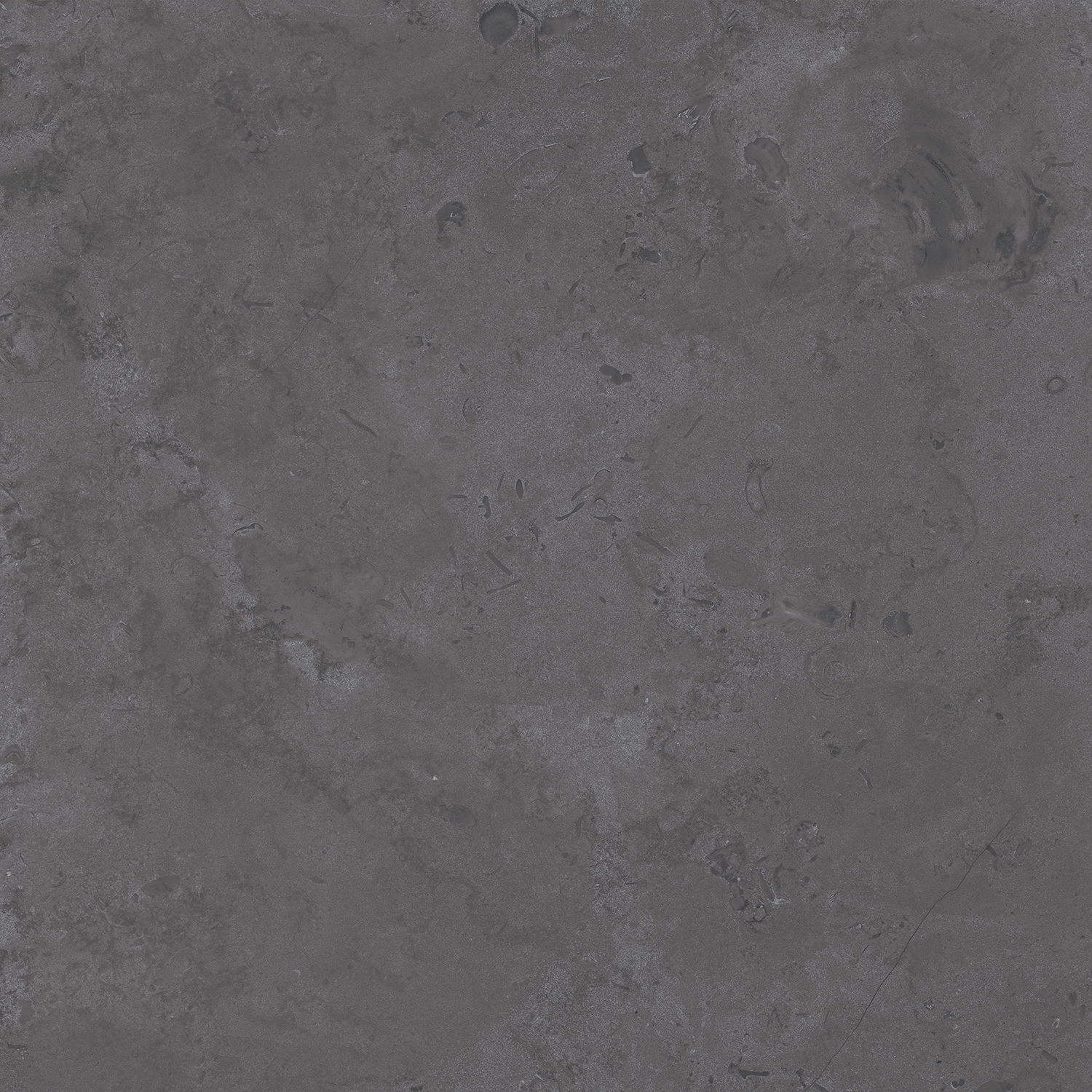 DD640800R Про Лаймстоун серый темный натуральный обрезной R10 60х60 Kerama Marazzi